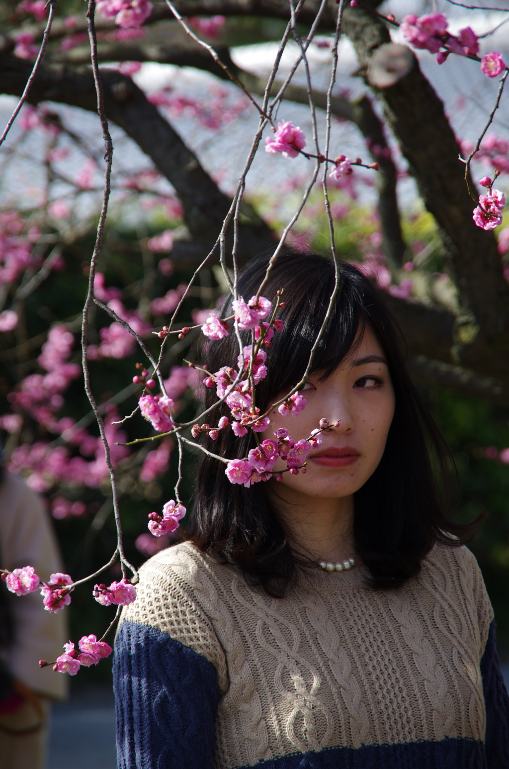 見つめる。