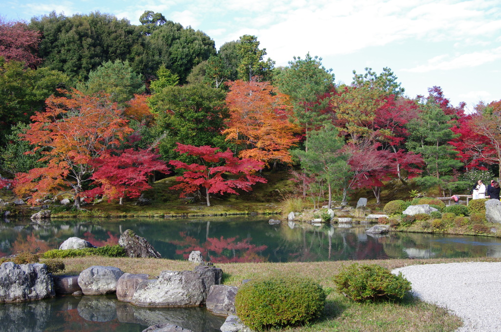 天龍寺の紅葉。