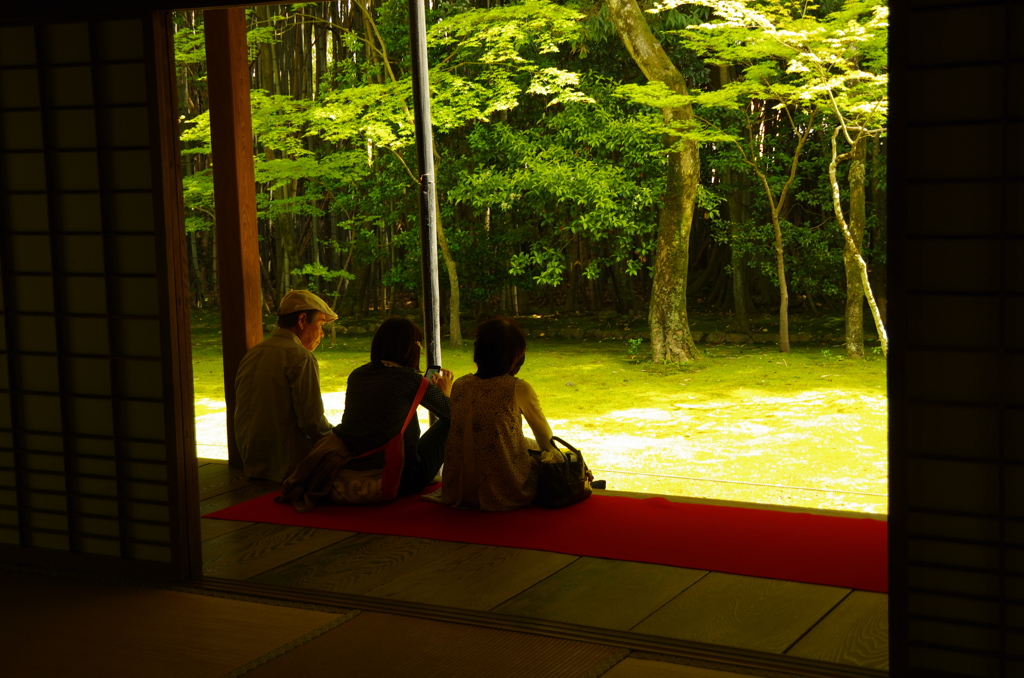 大徳寺　高桐院