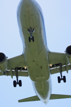 飛行機のお腹