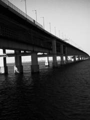 フィルム写真（４）