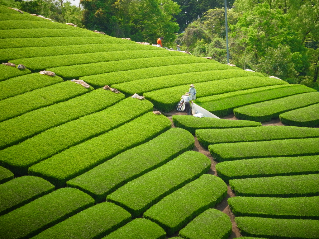 R0011420