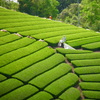 R0011420