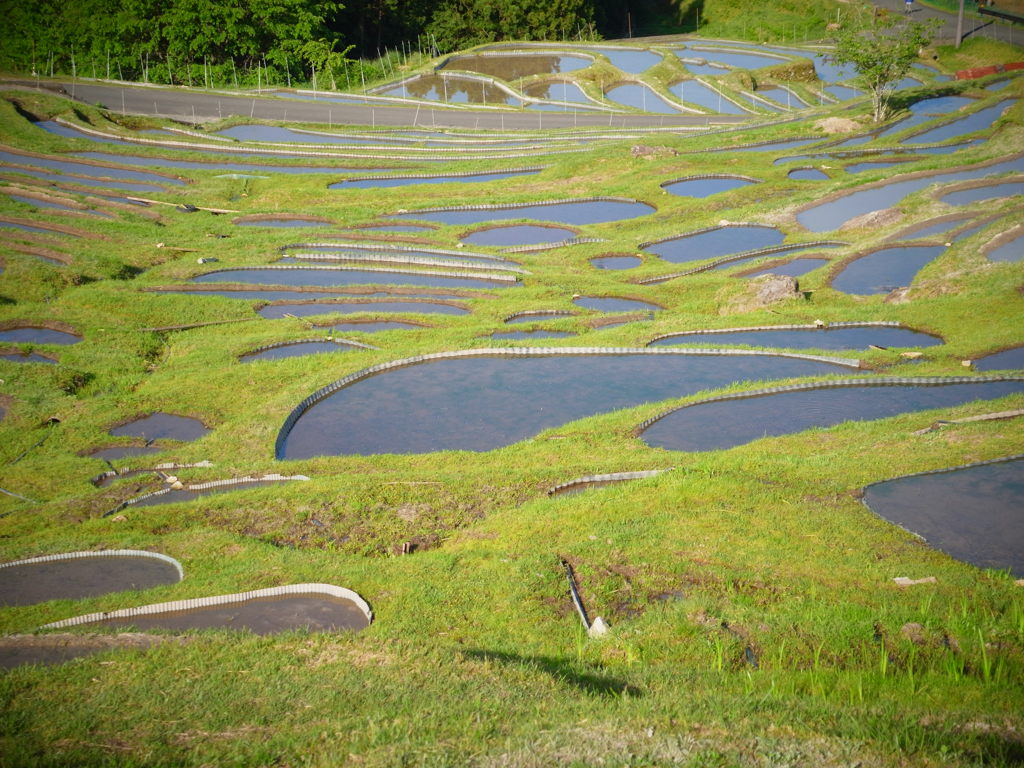 美しいにっぽんの原風景