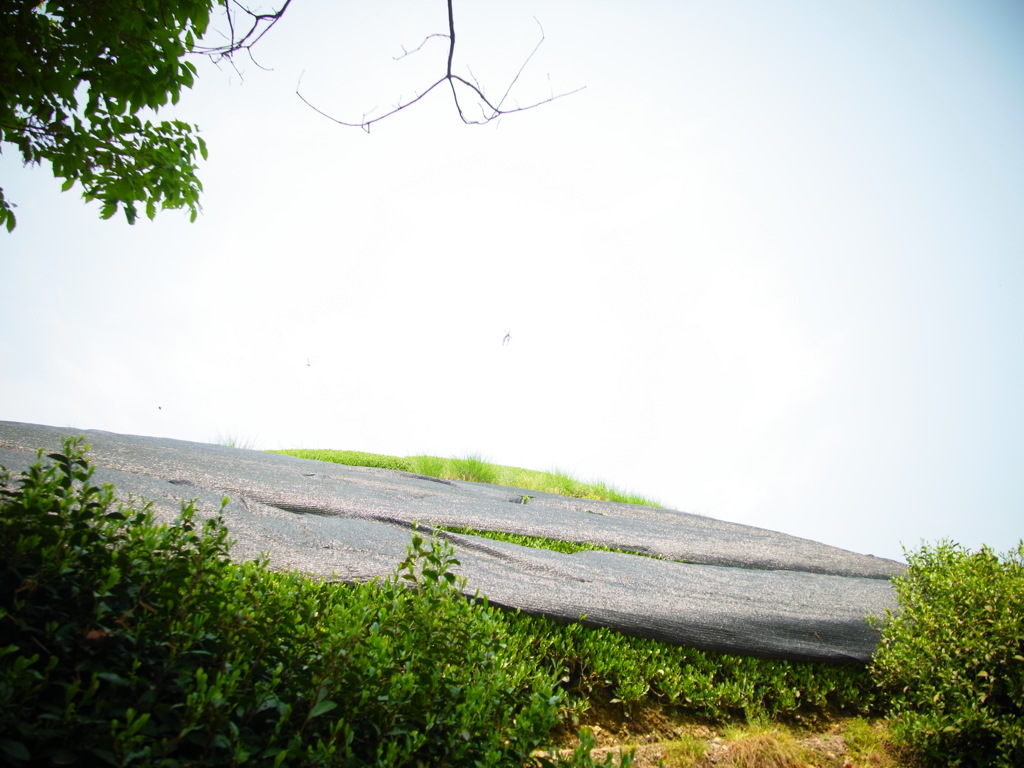 R0011289