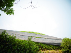 R0011289