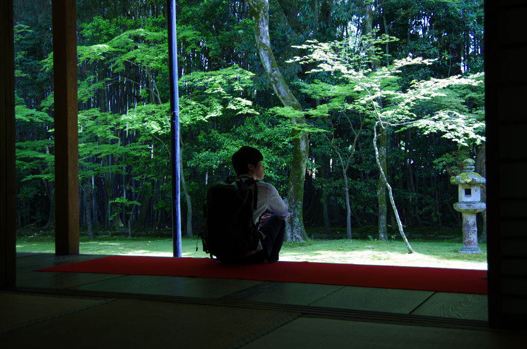 大徳寺　高桐院