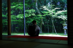 大徳寺　高桐院