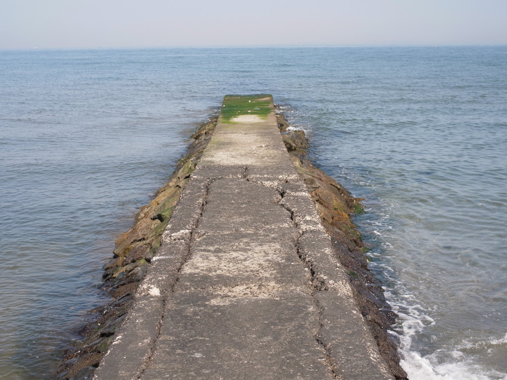 その向こうの先には...