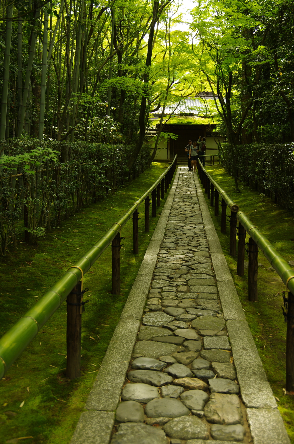 高桐院