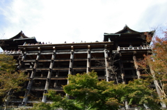 IMGP5673