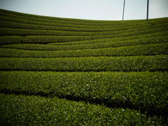 R0011375