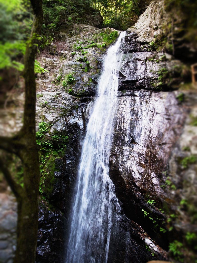 さまざまな滝の顔