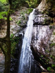 さまざまな滝の顔