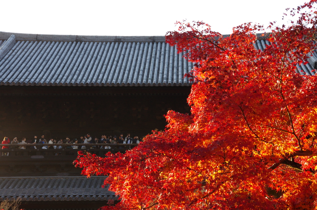 nanzen-ji temple