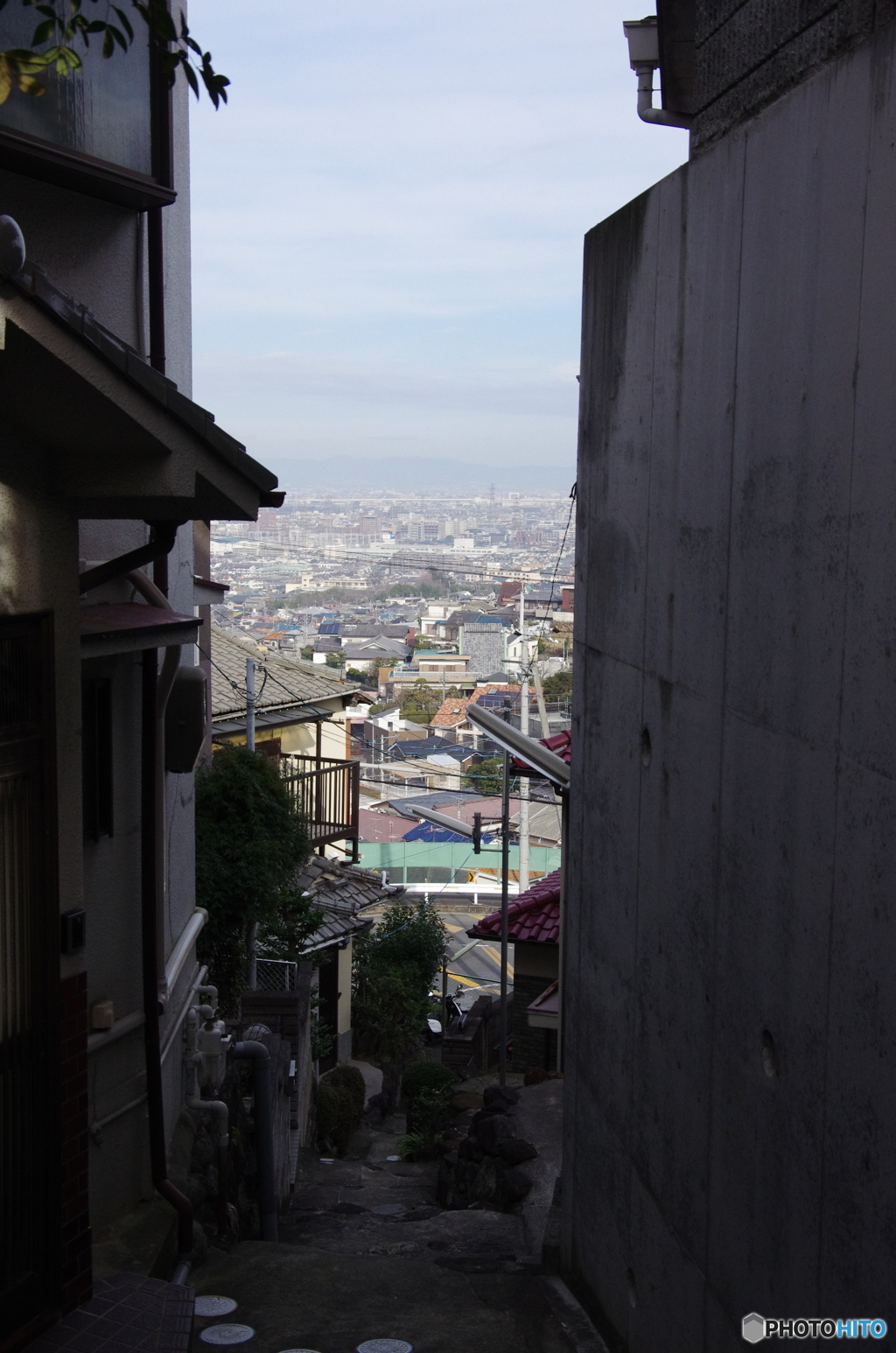 IMGP6359