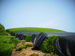 R0011283