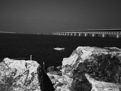 フィルム写真（２）