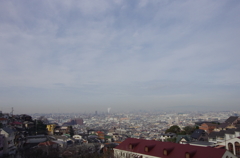 IMGP6353