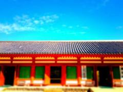 奈良、薬師寺　その１１