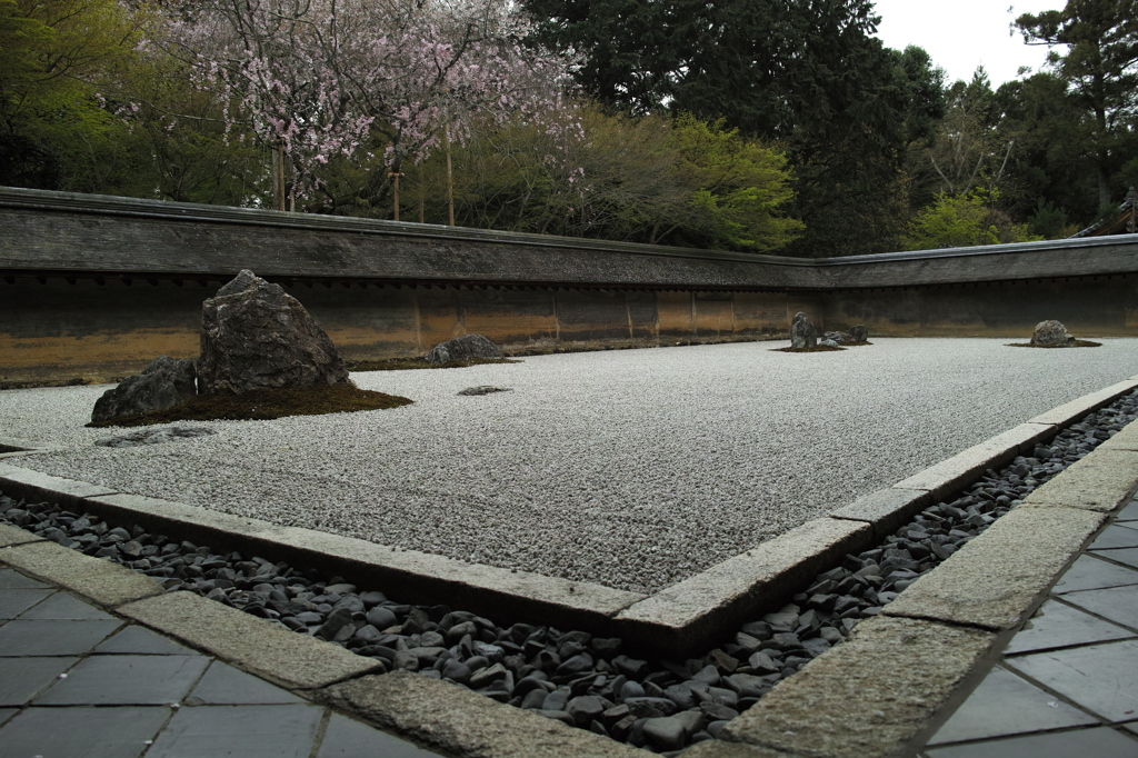 DP1M0714