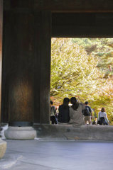 DP3M0258