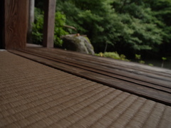 畳のある生活②