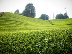 R0011323
