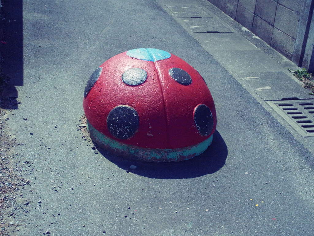 こんなところに、てんとう虫？