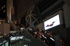A lot of people in Kyoto Station.