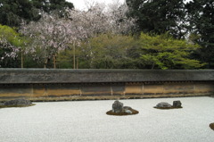 DP1M0710