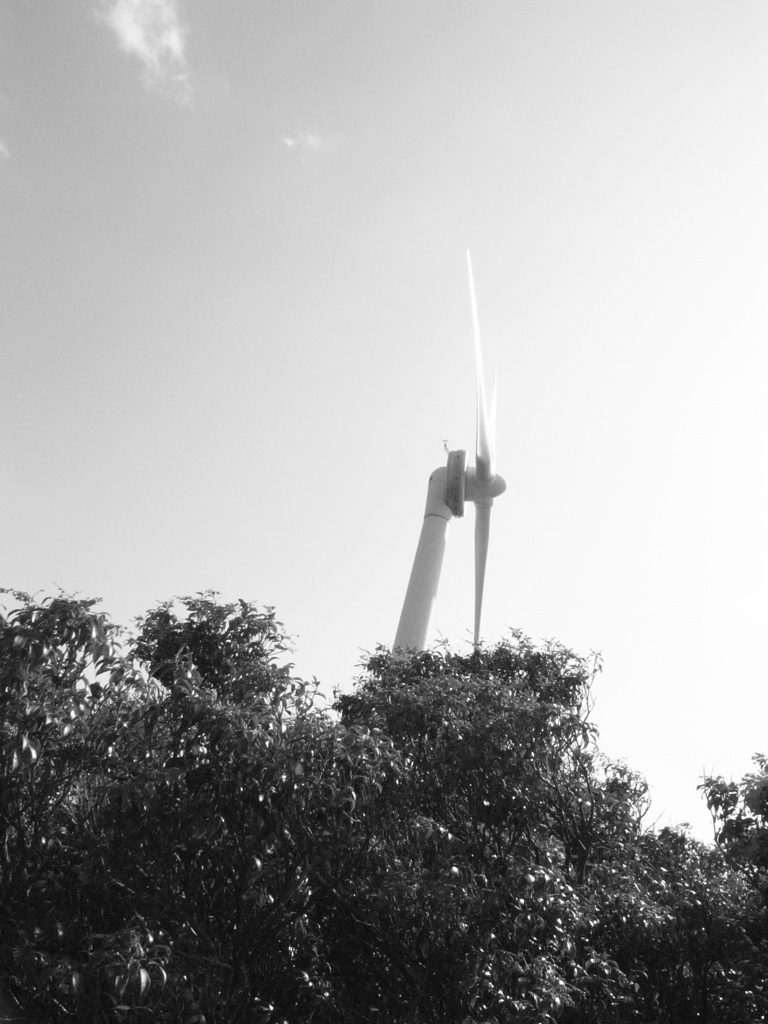 風車（モノクロ）