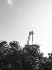 風車（モノクロ）