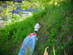 端に追いやられた案山子