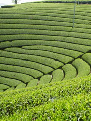 R0011400