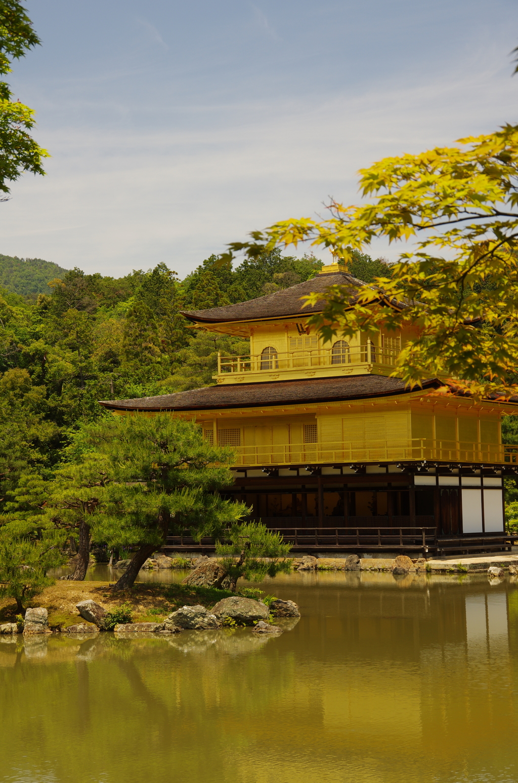 黄金色に輝く。