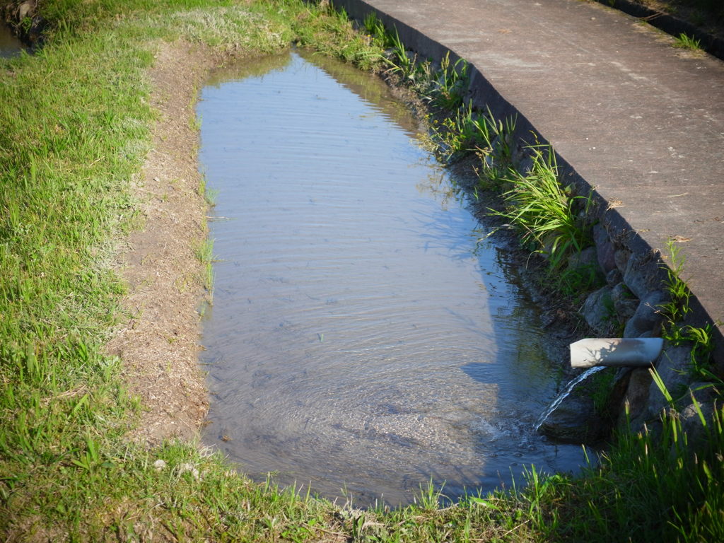 小さな田んぼ