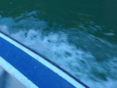 凛とした空気にそそられて。