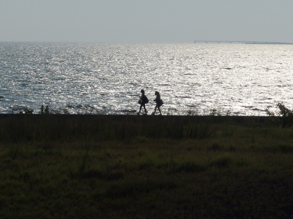 IMGP0371