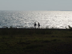 IMGP0371
