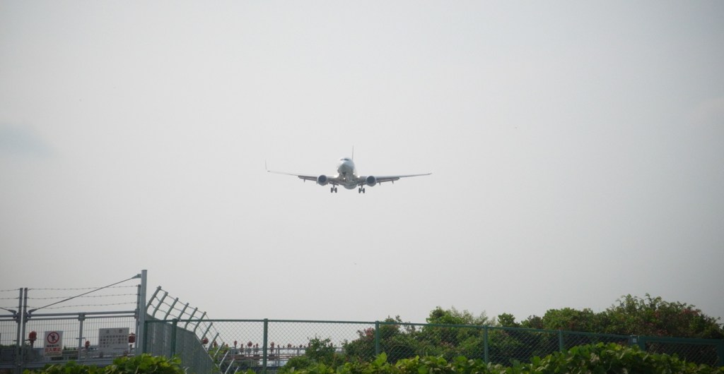 迫ってくるもの