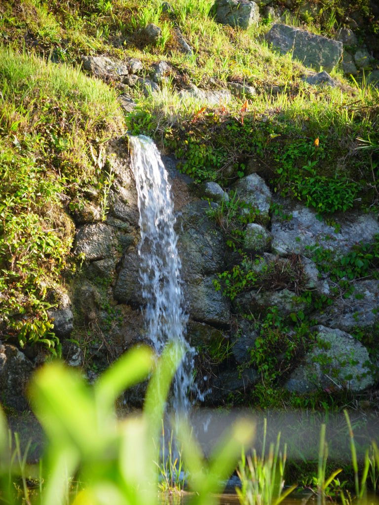 注ぎこまれる水