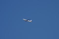 青空をかけめぐる。