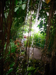 こぼれ落ちる瞬間