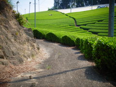 R0011221