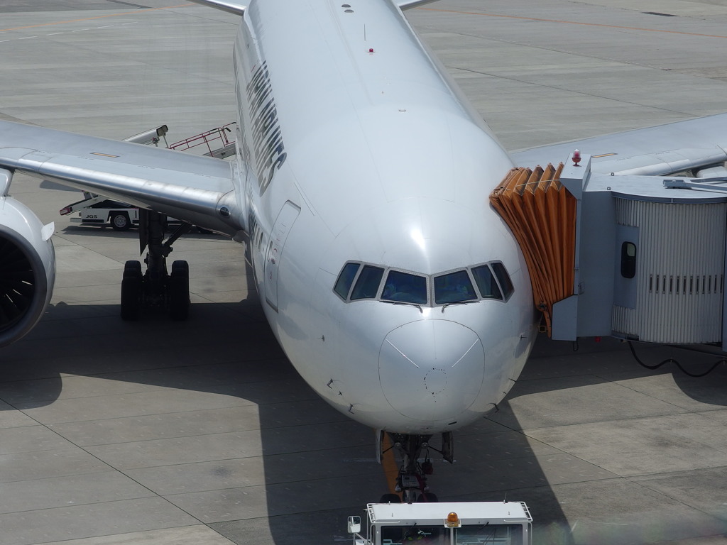 ミス・パイロット