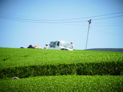 R0011204