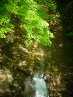 新緑のせせらぎ。