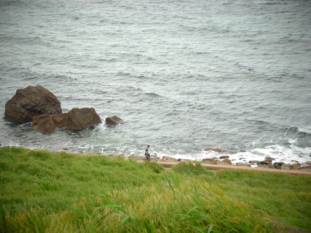 R0012560