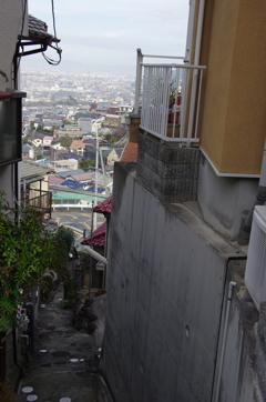 IMGP6354